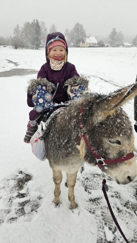 jízda na&nbsp;Růžence