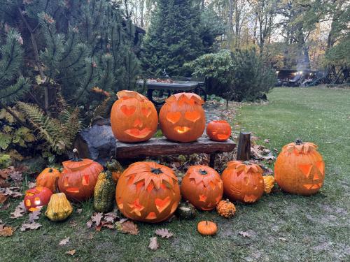 Dýňování na Hubertě